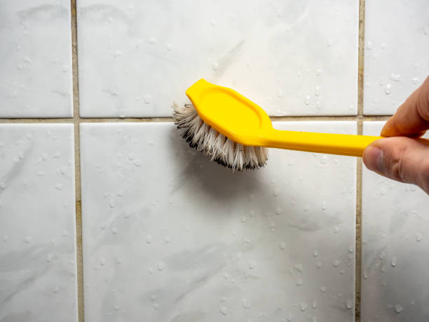 Carlsbad, CA Mold Removal Company